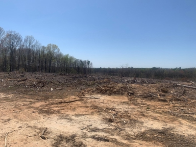 Buy Land In Southern VA - image 5