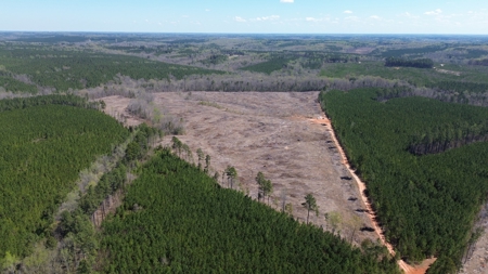 Buy Land In Southern VA - image 35
