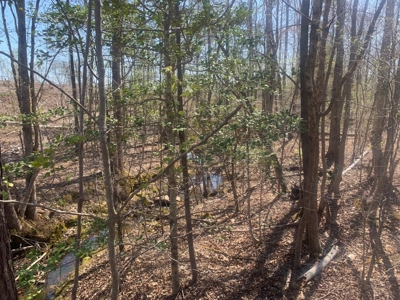 Buy Land In Southern VA - image 14