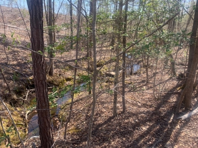 Buy Land In Southern VA - image 13