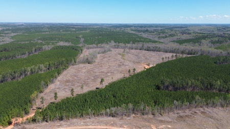 Buy Land In Southern VA - image 40