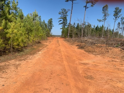 Buy Land In Southern VA - image 24