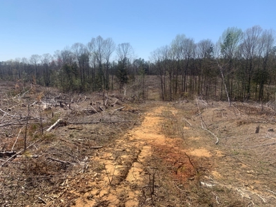 Buy Land In Southern VA - image 11