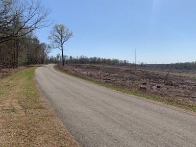 Buy Land In Southern VA - image 27