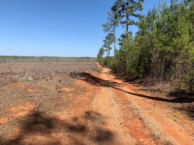 Buy Land In Southern VA - image 22