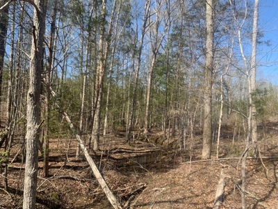 Buy Land In Southern VA - image 15