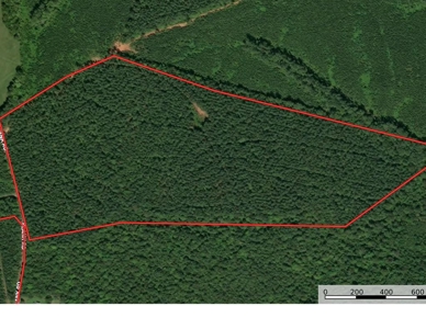 Buy Land In Southern VA - image 28