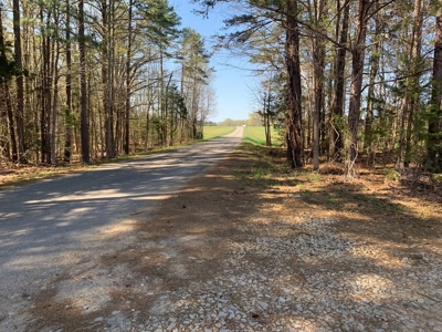 Buy Land In Southern VA - image 26