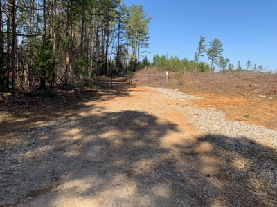 Buy Land In Southern VA - image 25