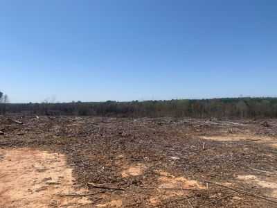 Buy Land In Southern VA - image 2