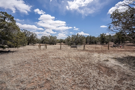 This remote, off grid 3bd2ba home on 36 acres has a well ! - image 33