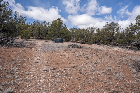 This remote, off grid 3bd2ba home on 36 acres has a well ! - image 26
