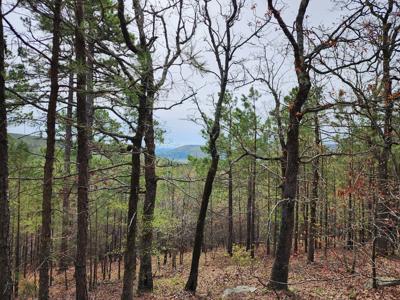 Sans Bois Mountain Recreational Off-Grid Property – 160 Acre - image 37