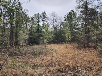 Sans Bois Mountain Recreational Off-Grid Property – 160 Acre - image 32