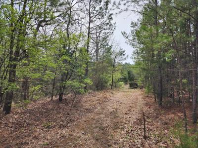 Sans Bois Mountain Recreational Off-Grid Property – 160 Acre - image 33