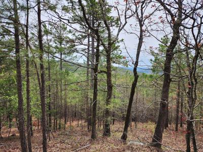 Sans Bois Mountain Recreational Off-Grid Property – 160 Acre - image 42