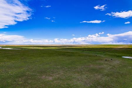 Cattle Ranch for sale in Northeastern Montana Grasslands - image 2