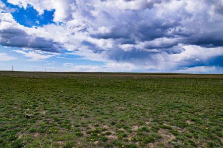 Cattle Ranch for sale in Northeastern Montana Grasslands - image 36