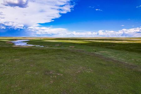 Cattle Ranch for sale in Northeastern Montana Grasslands - image 3