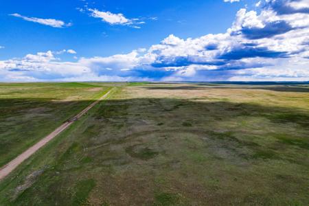 Cattle Ranch for sale in Northeastern Montana Grasslands - image 9