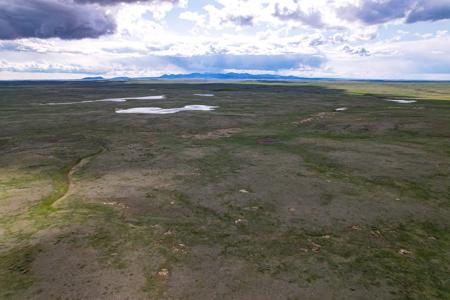 Cattle Ranch for sale in Northeastern Montana Grasslands - image 23