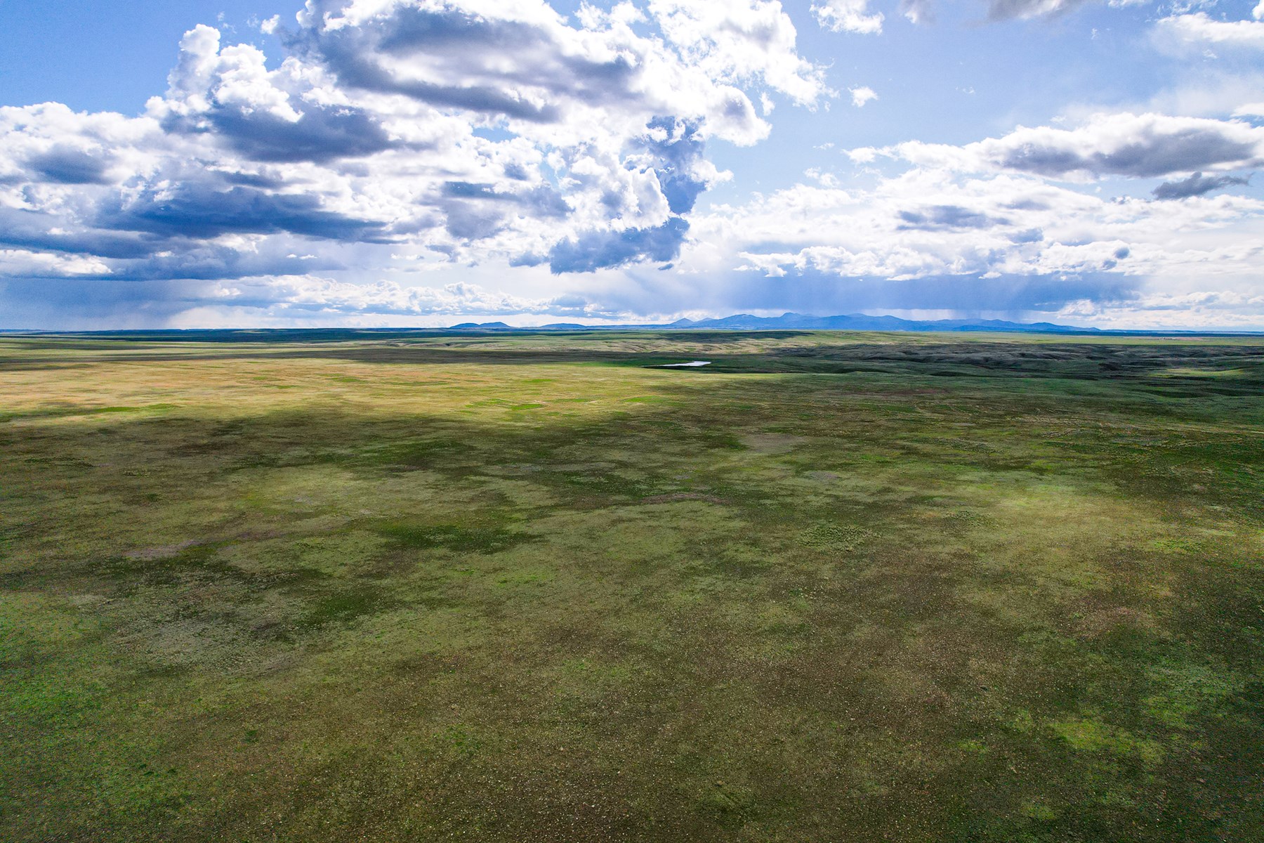 Cattle Ranch for sale in Northeastern Montana Grasslands - image 8