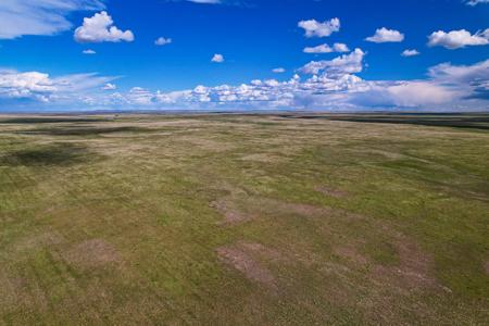 Cattle Ranch for sale in Northeastern Montana Grasslands - image 17