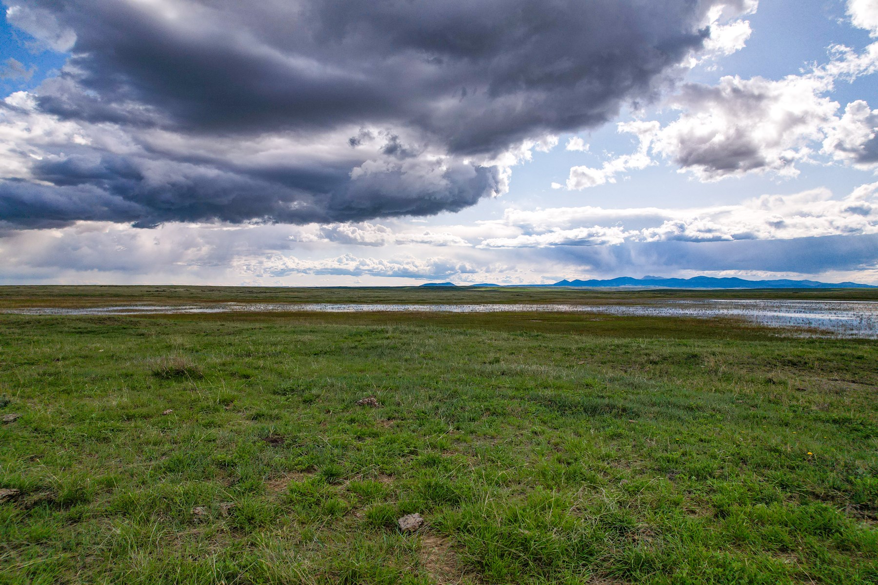 Cattle Ranch for sale in Northeastern Montana Grasslands - image 27