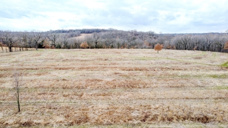 Beautiful Homesite with a 4-acre Lake - image 3