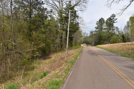 Amazing 21.87 acres of unrestricted wooded land For Sale! - image 12