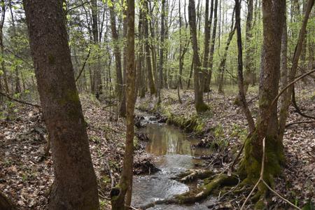 Amazing 21.87 acres of unrestricted wooded land For Sale! - image 1