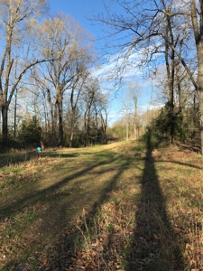 Beautiful 150-acre farmland near Harrison - image 17