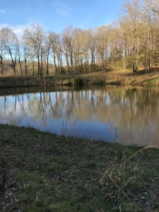 Beautiful 150-acre farmland near Harrison - image 24