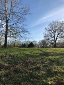 Beautiful 150-acre farmland near Harrison - image 9