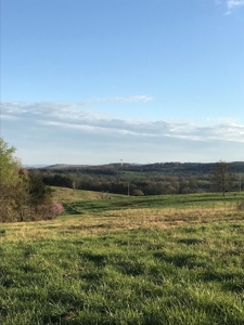 Beautiful 150-acre farmland near Harrison - image 37