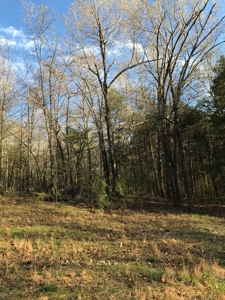 Beautiful 150-acre farmland near Harrison - image 13