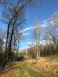 Beautiful 150-acre farmland near Harrison - image 18