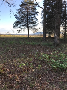 Beautiful 150-acre farmland near Harrison - image 32