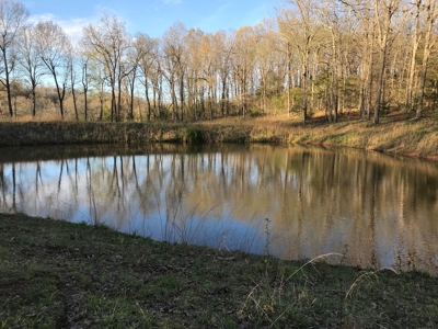 Beautiful 150-acre farmland near Harrison - image 25