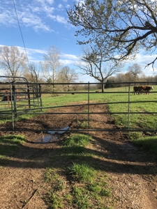 Beautiful 150-acre farmland near Harrison - image 1