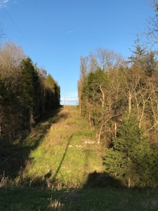 Beautiful 150-acre farmland near Harrison - image 42