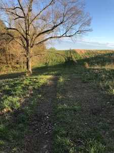 Beautiful 150-acre farmland near Harrison - image 35