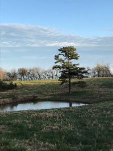 Beautiful 150-acre farmland near Harrison - image 45
