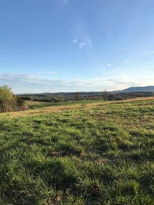 Beautiful 150-acre farmland near Harrison - image 36