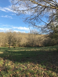 Beautiful 150-acre farmland near Harrison - image 11
