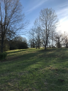 Beautiful 150-acre farmland near Harrison - image 12
