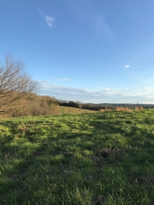 Beautiful 150-acre farmland near Harrison - image 41