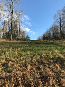 Beautiful 150-acre farmland near Harrison - image 20
