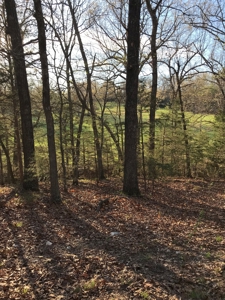 Beautiful 150-acre farmland near Harrison - image 15