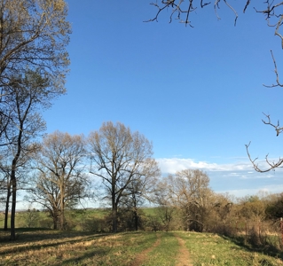 Beautiful 150-acre farmland near Harrison - image 34